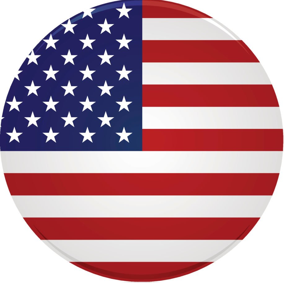 MSPs in the USA