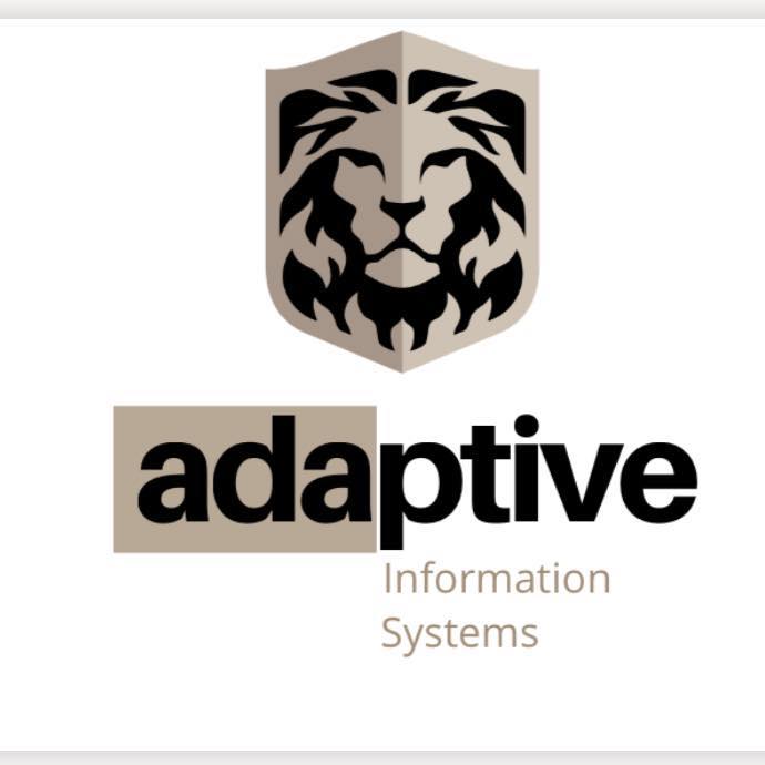 Adaptive Information Systems it services