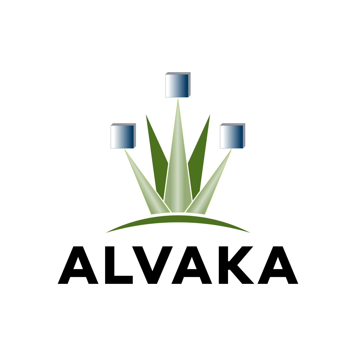 Alvaka Networks it services