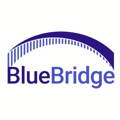 BlueBridge Networks msp managed service provider