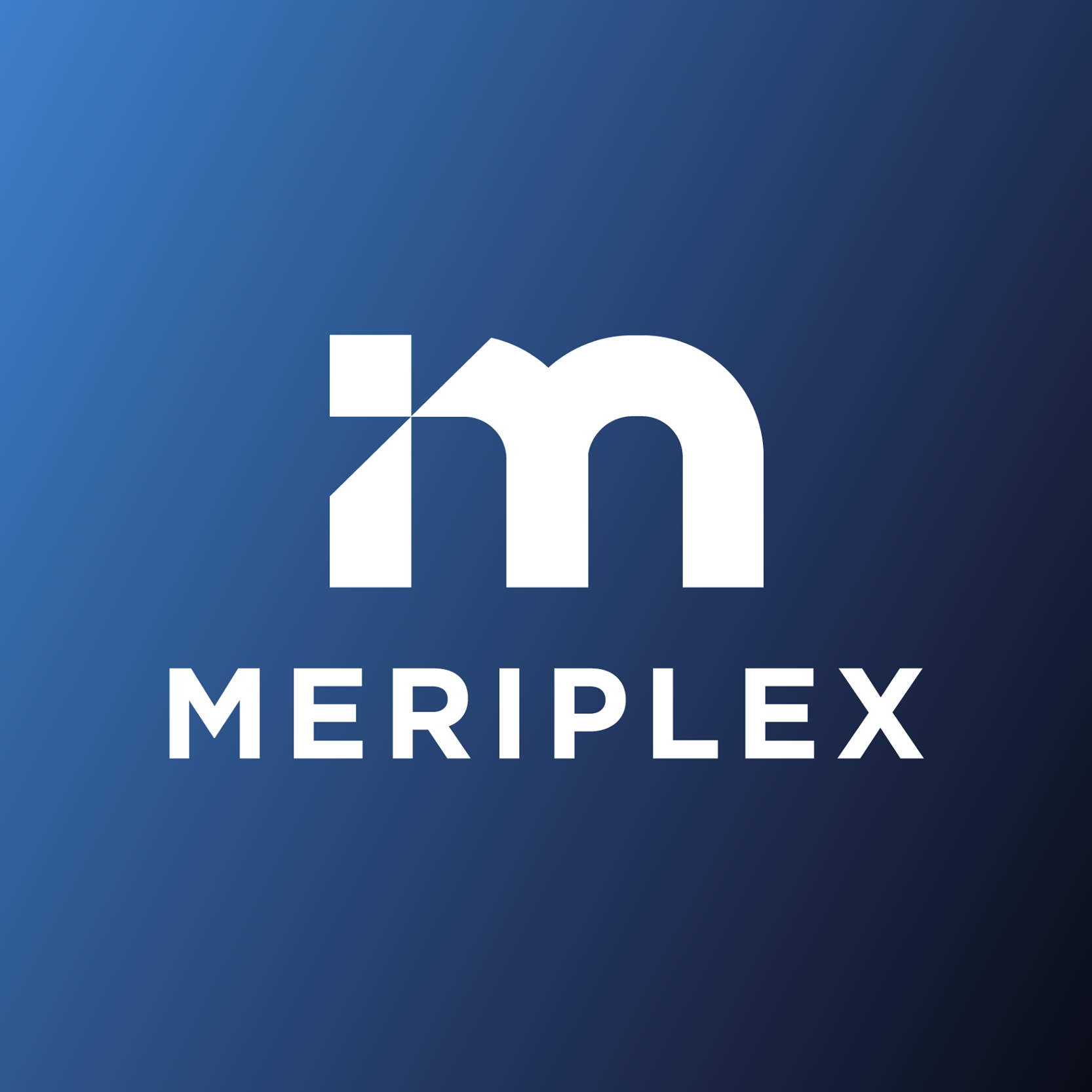 Meriplex msp managed service provider