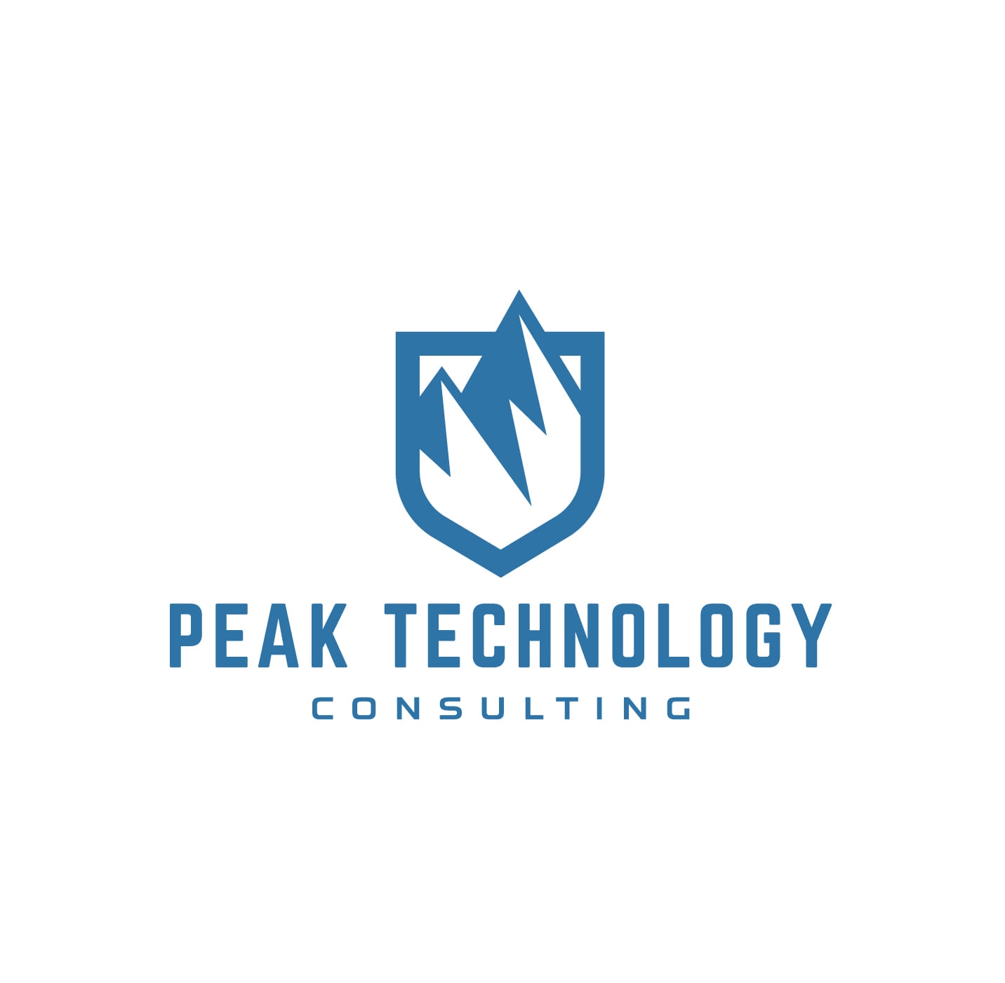 Peak Technology Consulting msp managed service provider