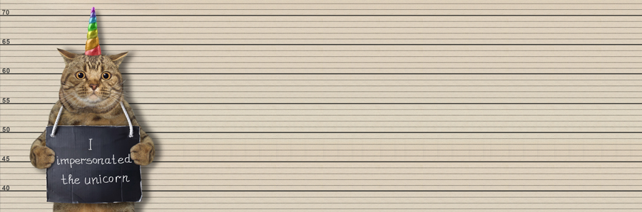 Impersonation Nation