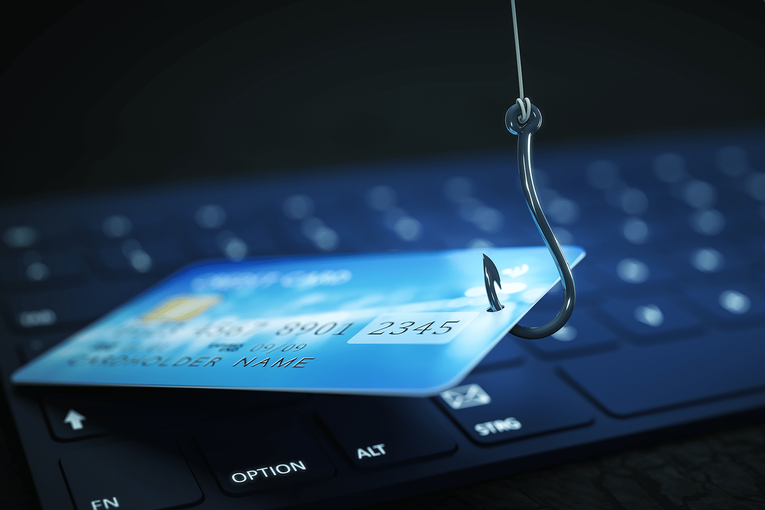 Financial Professionals are Prime Phishing Targets
