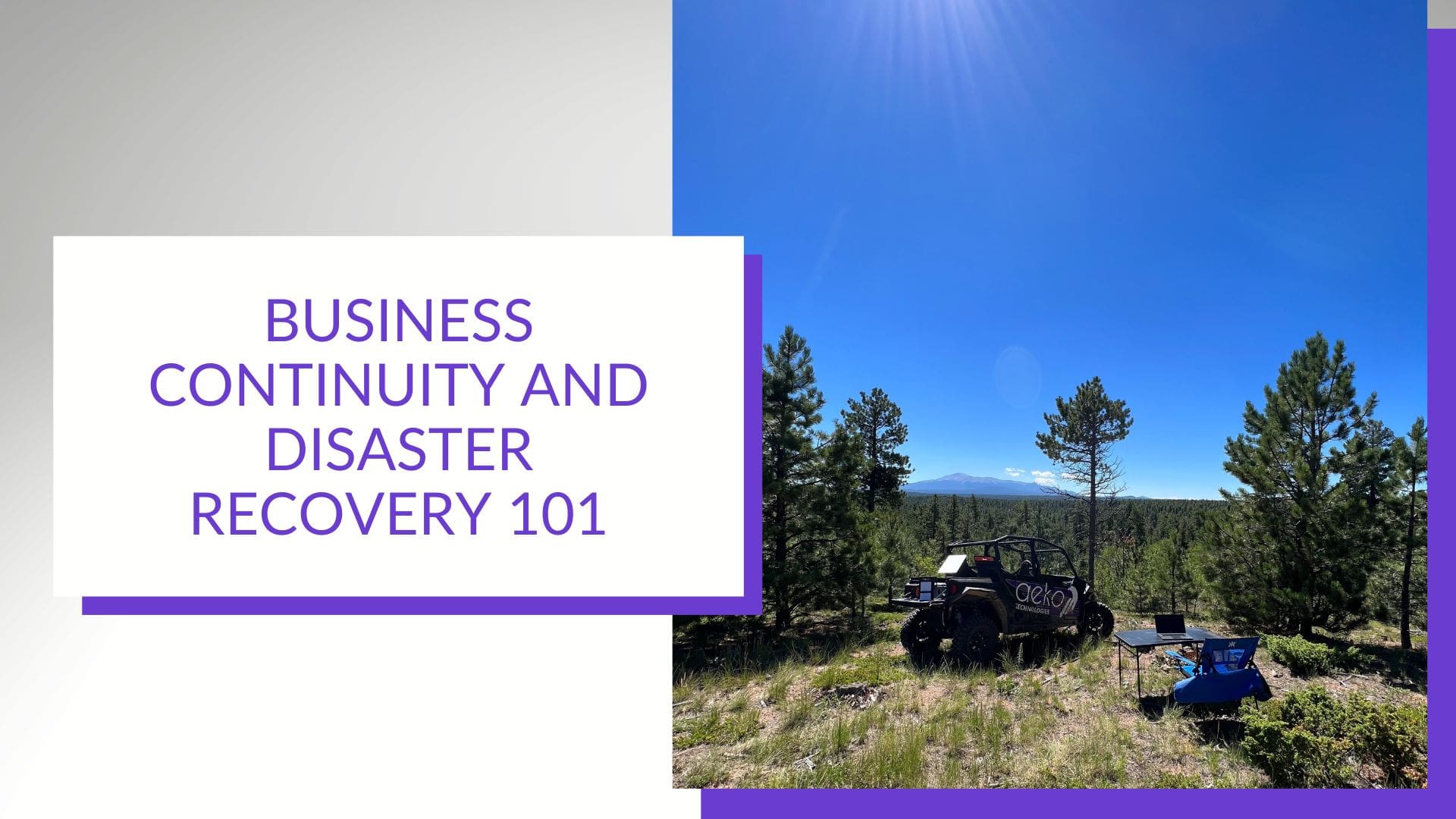 Survive and Thrive: Business Continuity and Disaster Recovery Plan Basics