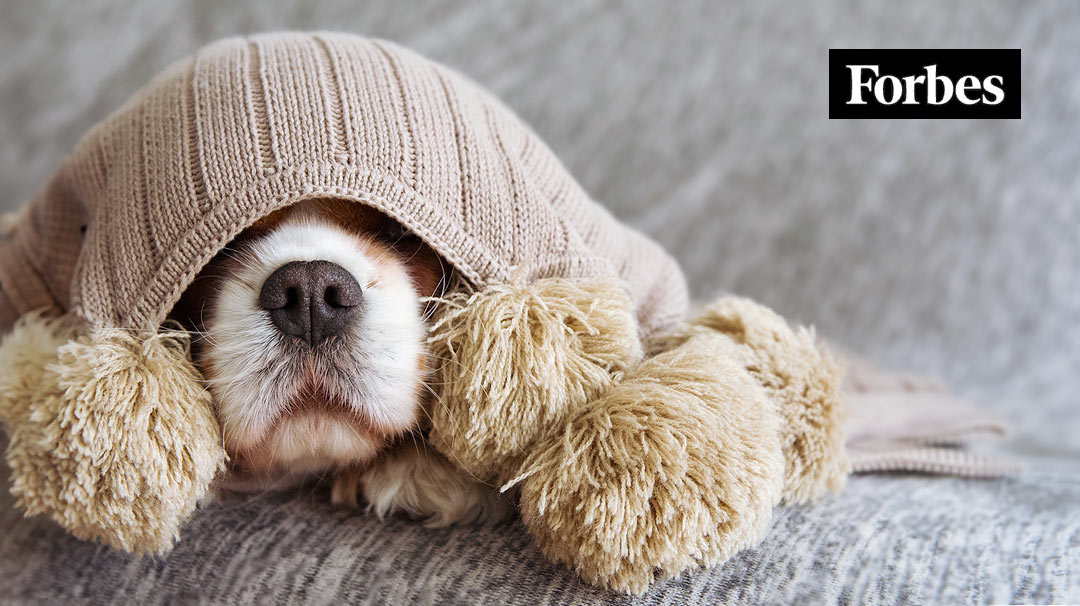 Managed IT: A Cybersecurity Magic Bullet Hiding In Plain Sight?