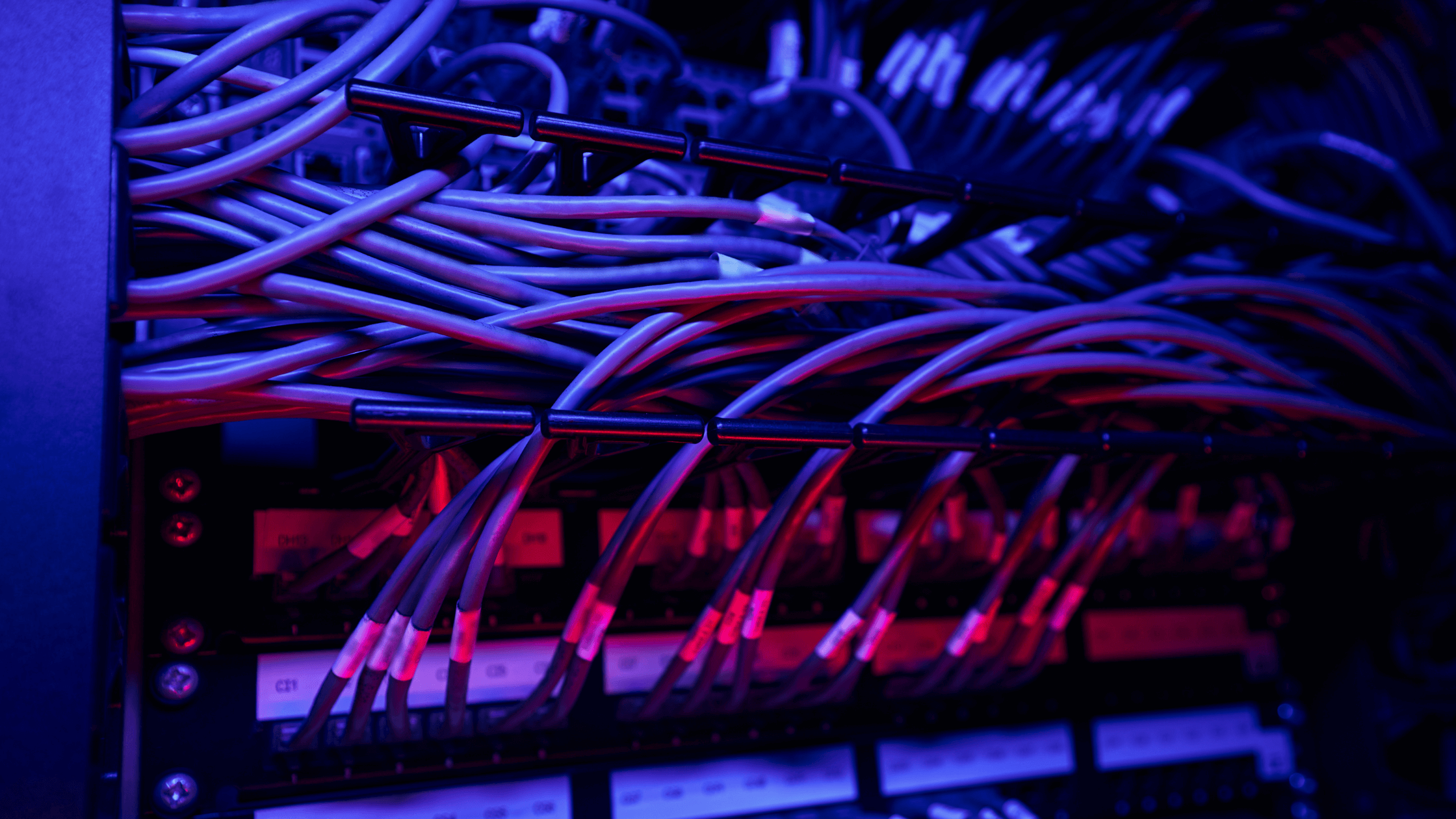 GPT-5: What to Expect and How BACS Helps You Prepare