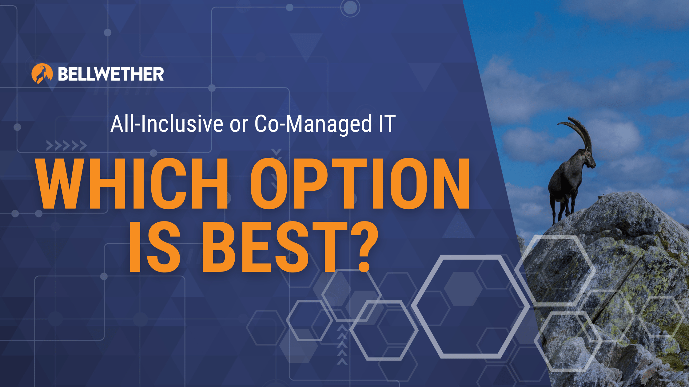 All-Inclusive or Co-Managed IT Services: Which Option is Best for Your Business