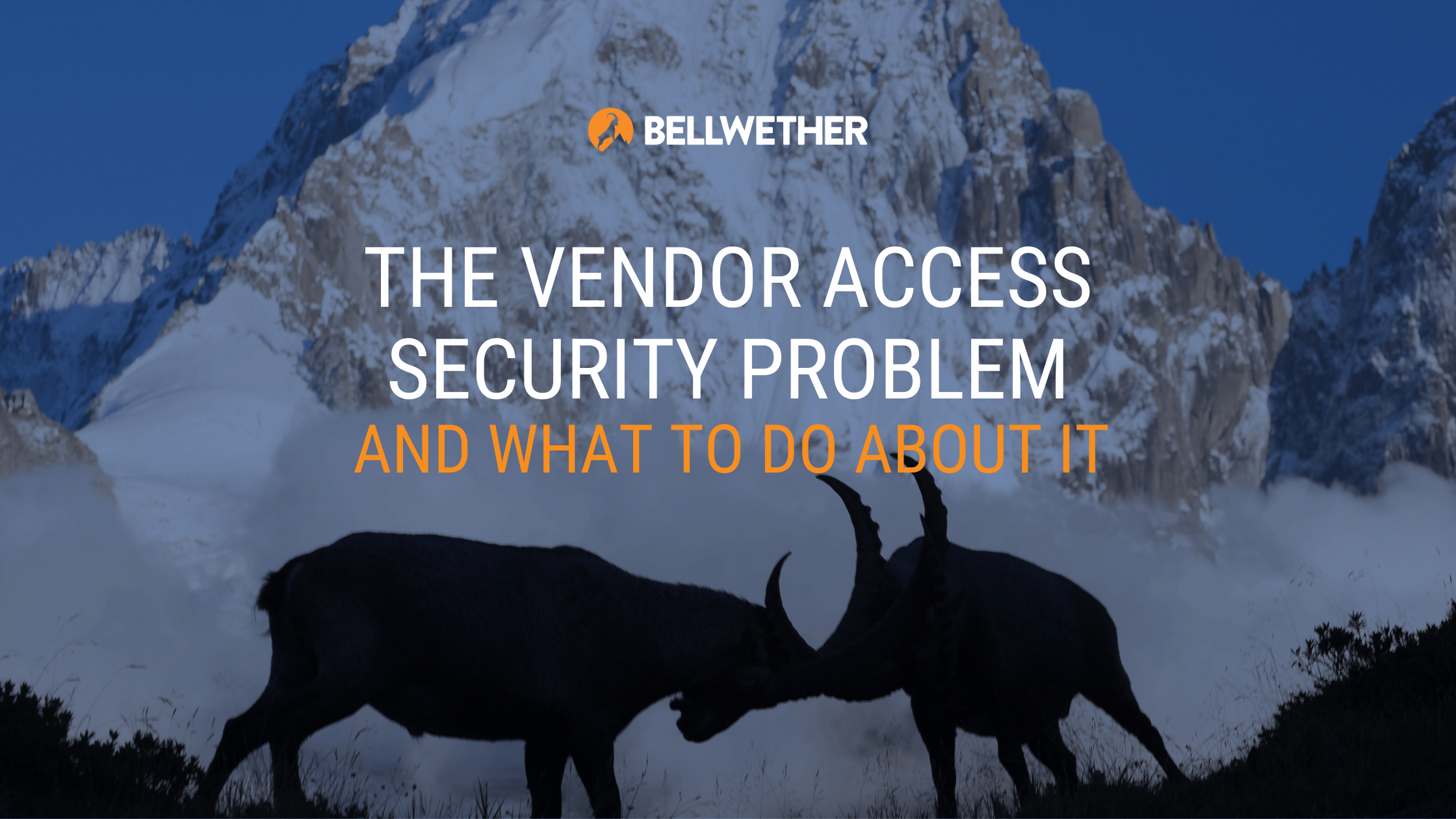The Vendor Access Security Problem and What to Do About It