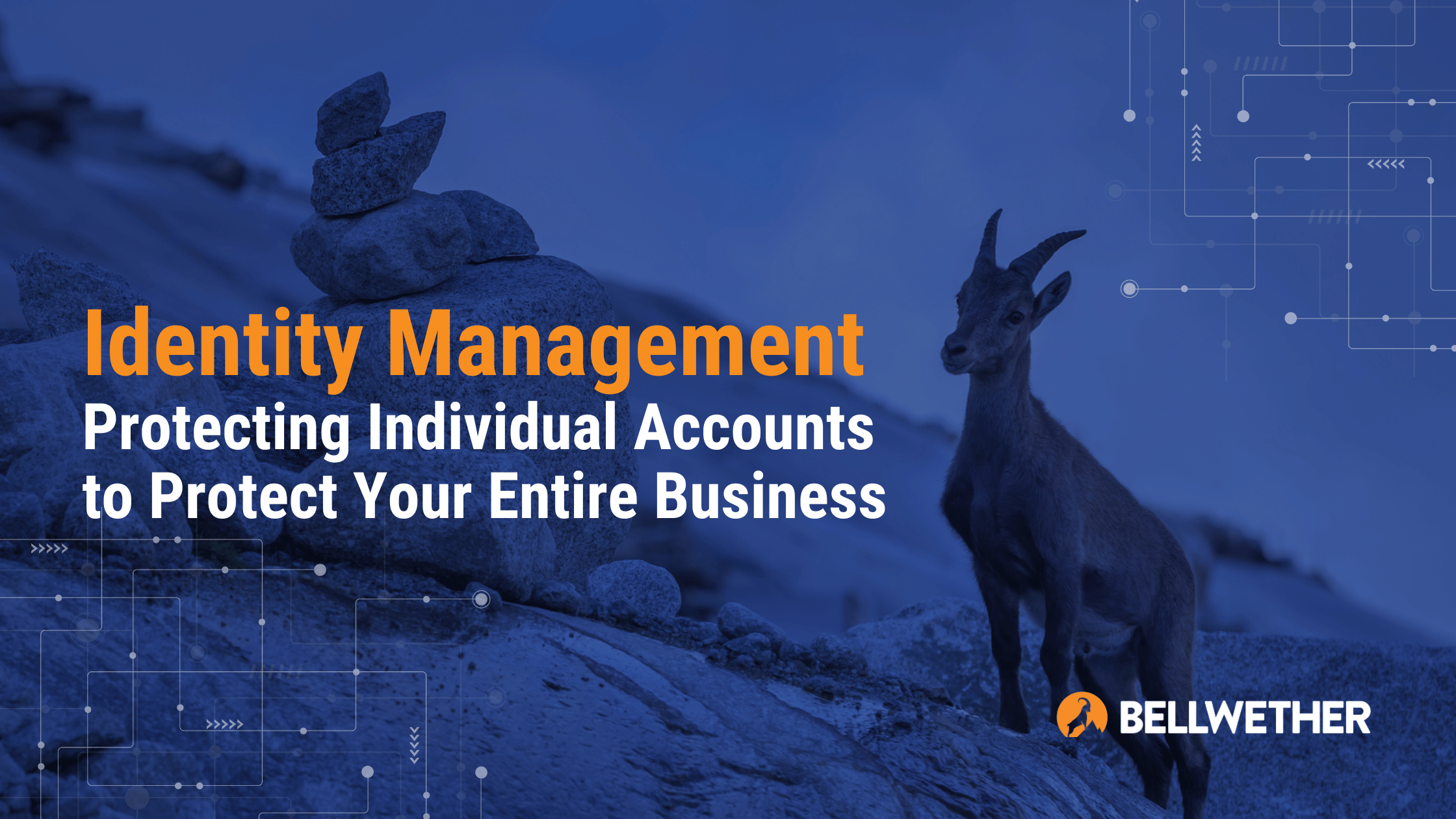 Identity Management: Protecting Individual Accounts to Protect Your Entire Business