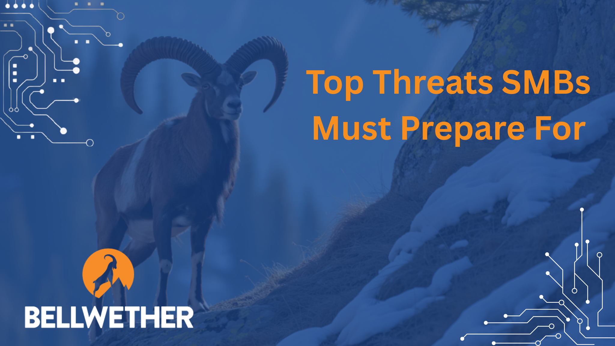 Top Threats Small and Medium-Sized Businesses Must Prepare For