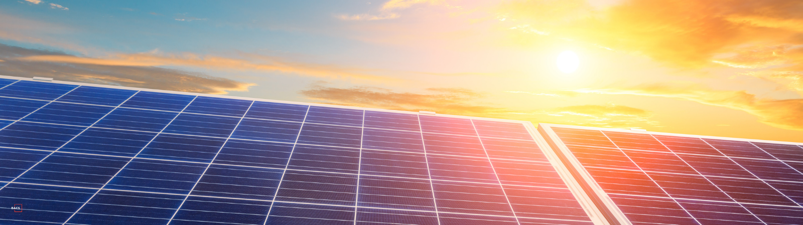 Building Resilience in a Volatile Market: Clean Solar and BACS IT on the Future of Rooftop Energy