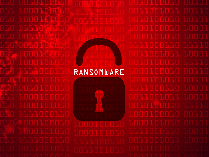 Immutable Backups: Why They Matter for Ransomware Defense