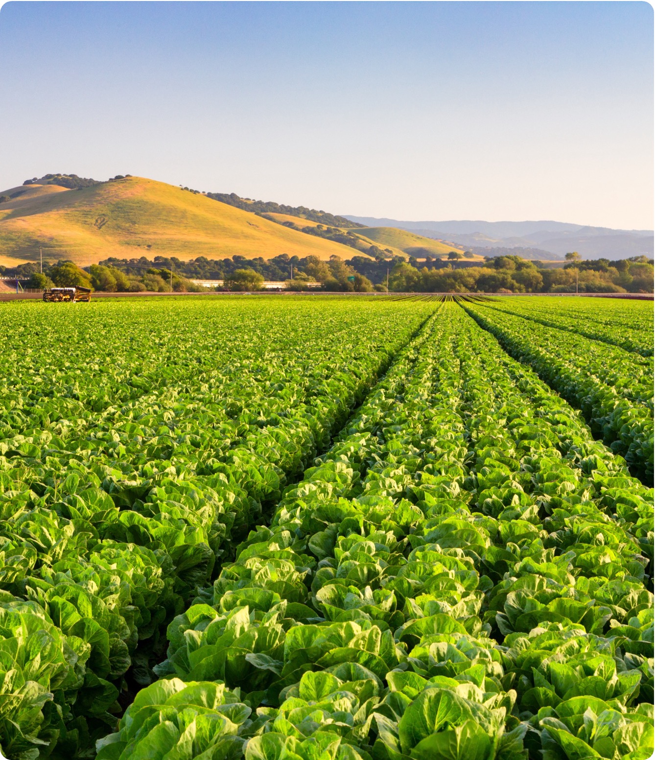 Harbor IT Acquires Agribusiness-Focused ZAG Technical Services to Expand Critical Infrastructure Practice