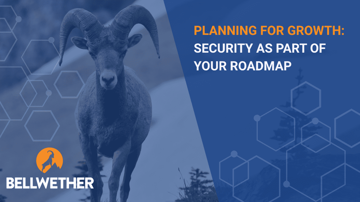 Security as Part of Your Roadmap