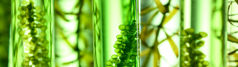 What a $5M Series A Biotech Firm Actually Needs from IT