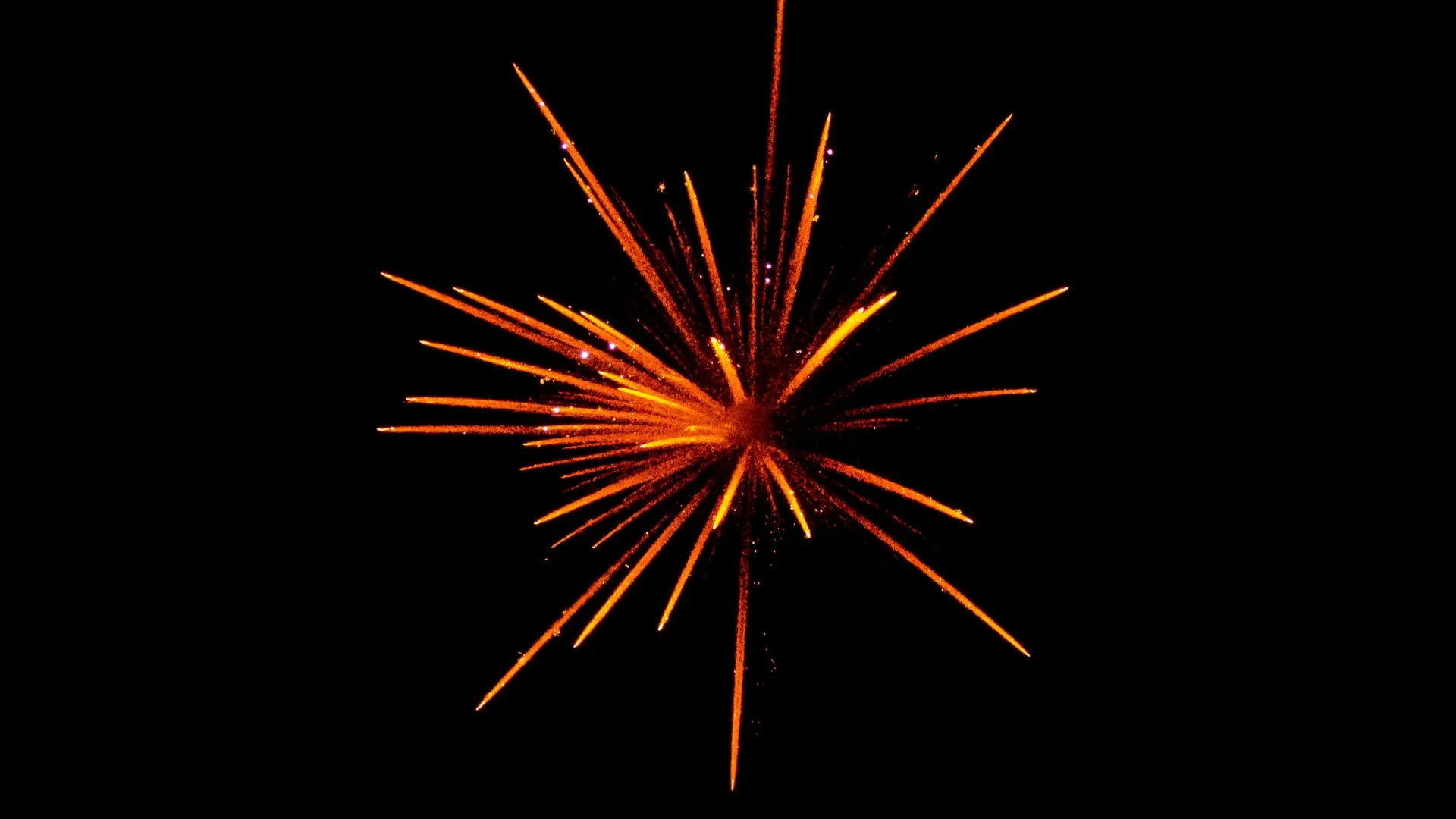 20 Years of Managed IT in Greenville, SC: What 700 Businesses Have Taught Us