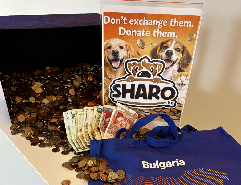 Giving back together: How RingCentral supports communities in Bulgaria
