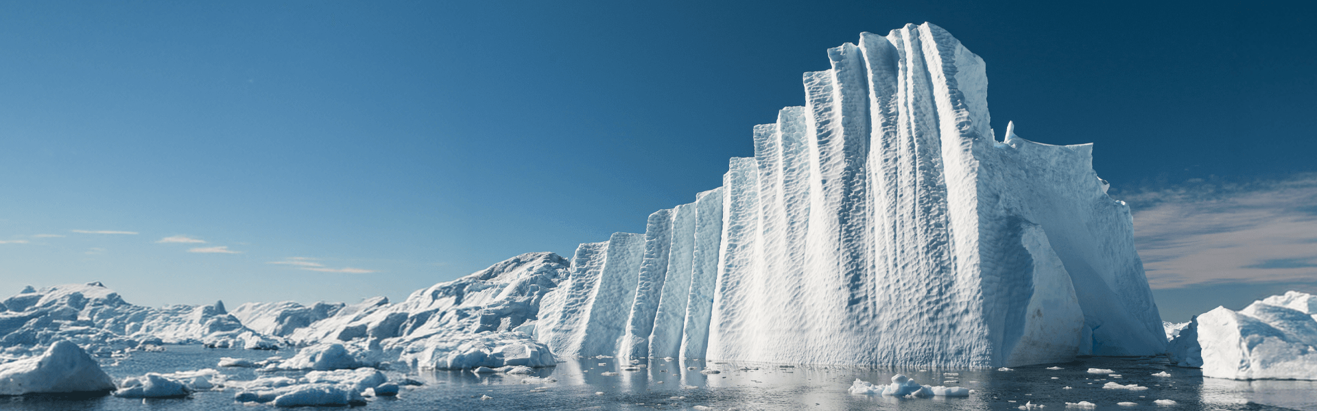 What’s the True Cost of AI? Essential Business Insights