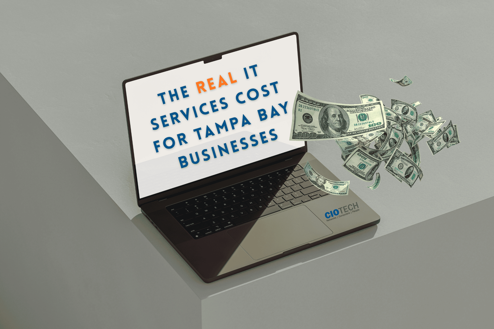 The Real IT Services Cost for Tampa Bay Businesses