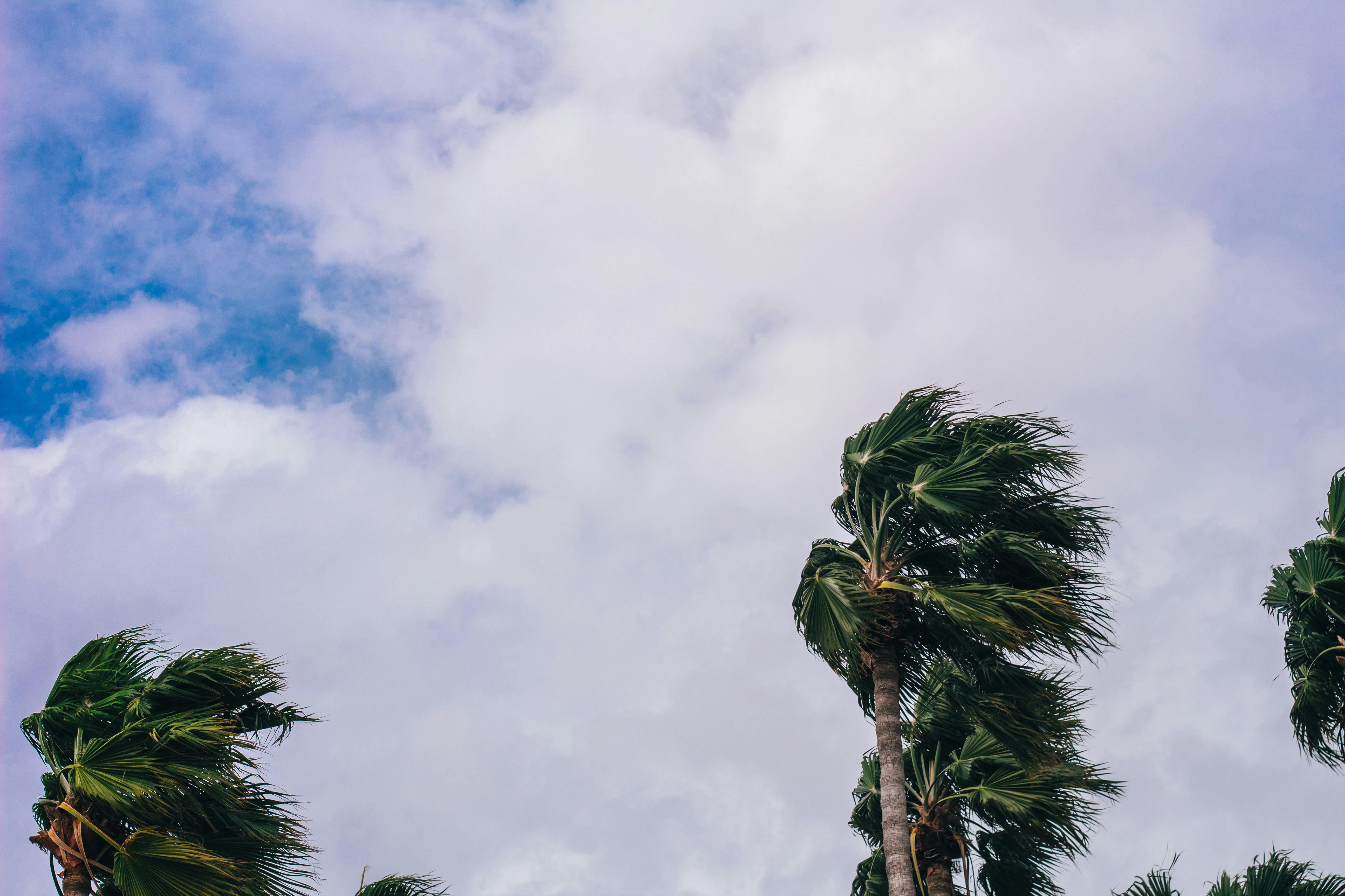Backup, Recovery, and the 3-2-1 Rule: Why It Matters Most During Hurricane Prep