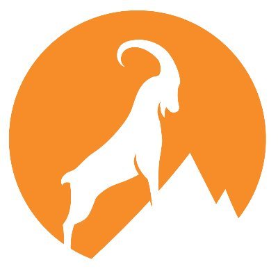Bellwether Technology MSP profile
