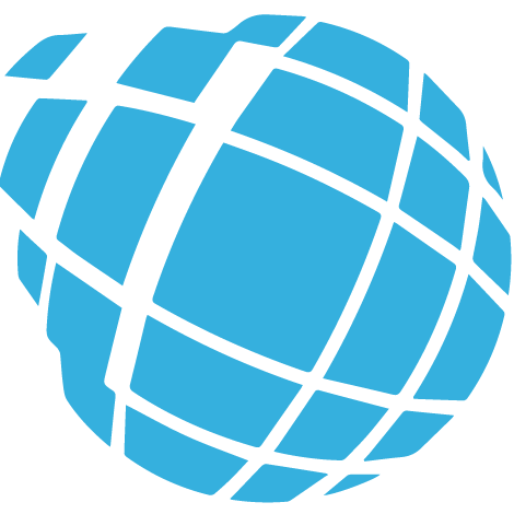 Bleuwire MSP profile