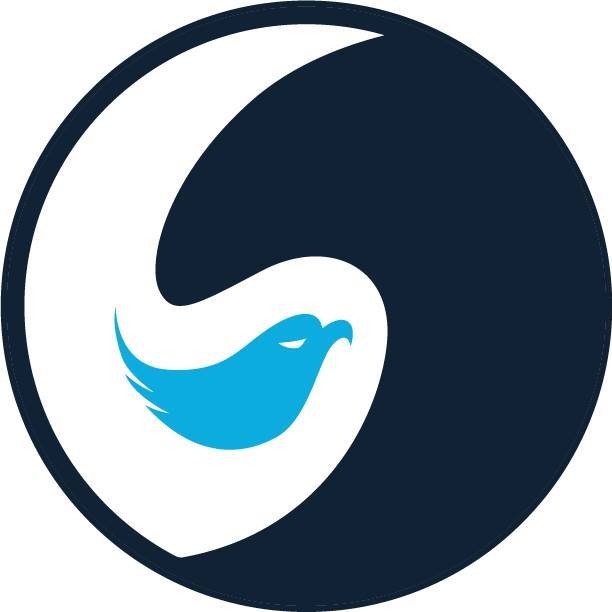 BlueBird iT Solutions