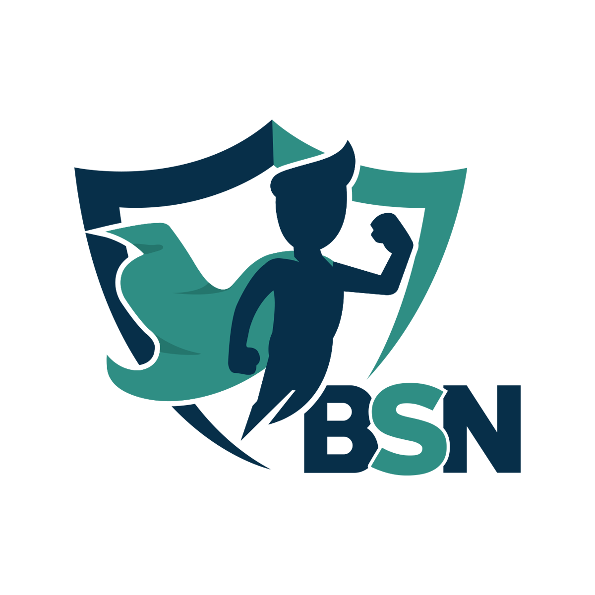 Breach Secure Now  it services