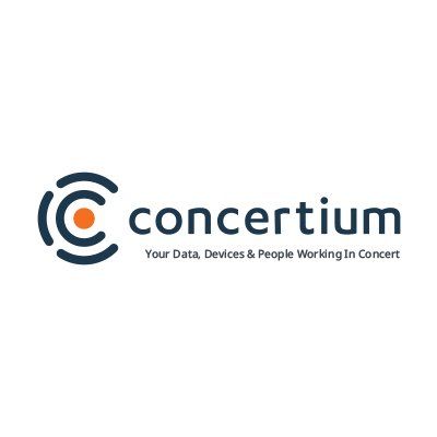 Concertium it services