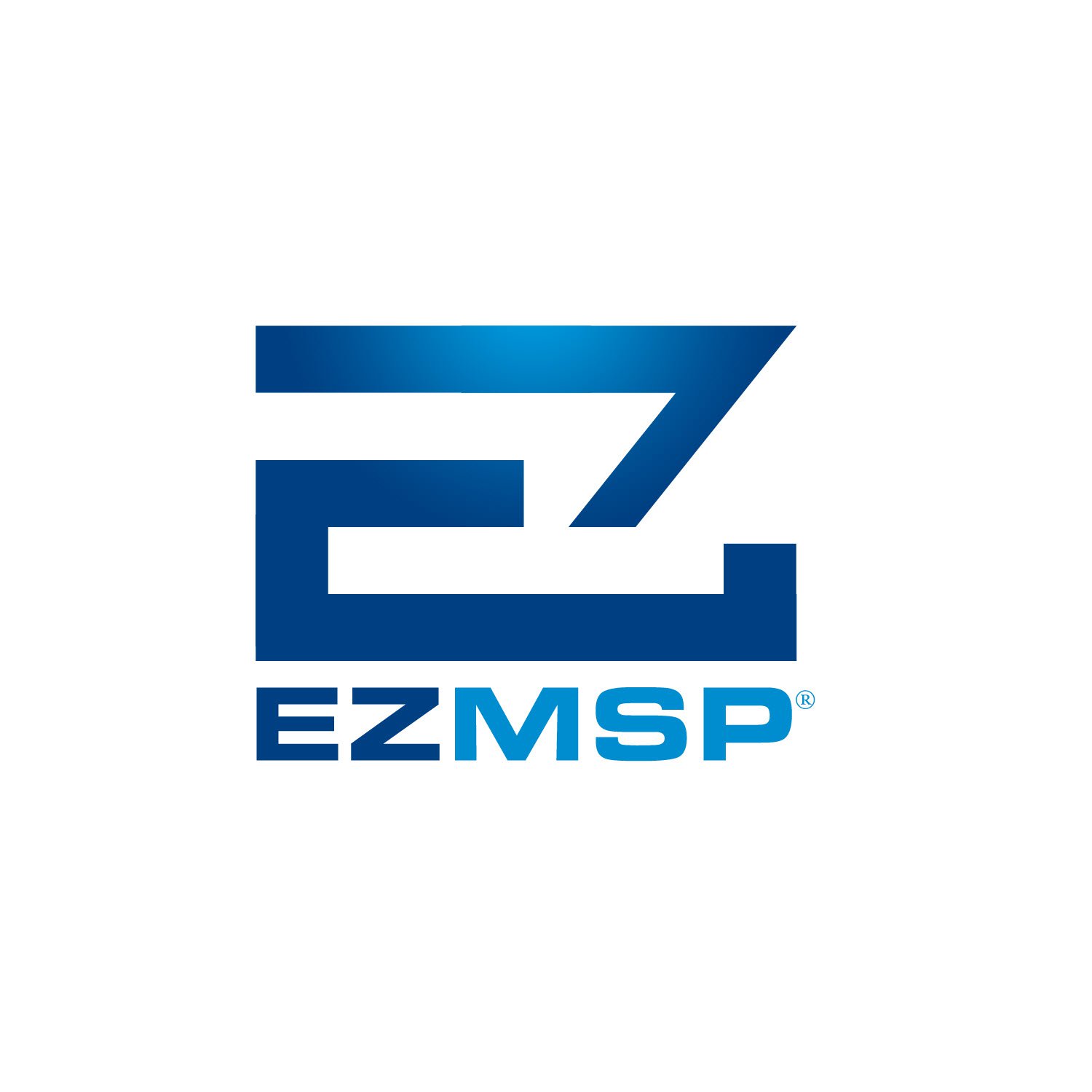EZ MSP it services
