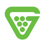Grapevine MSP Technology Services MSP profile