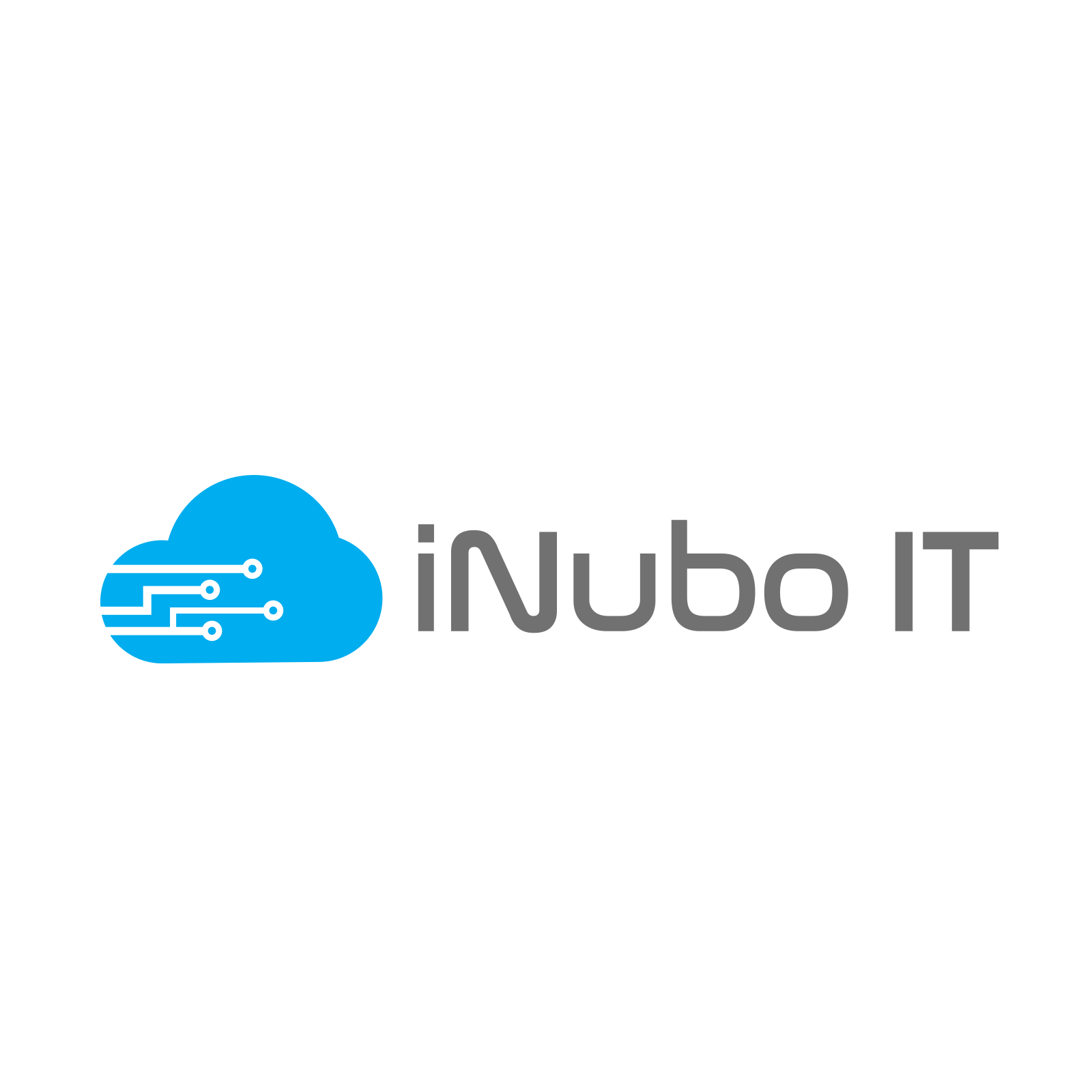 iNubo IT