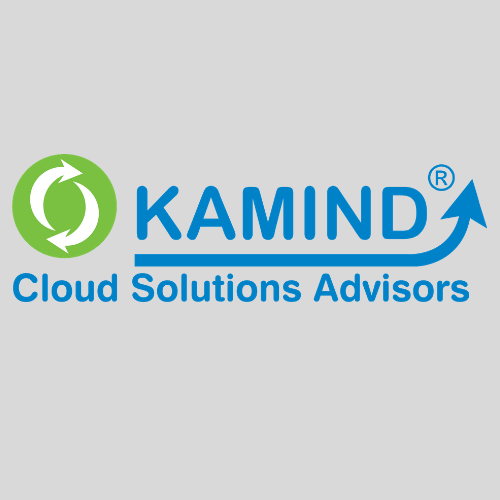 KAMIND IT MSP profile