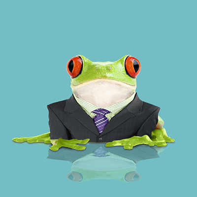 Leapfrog Services logo