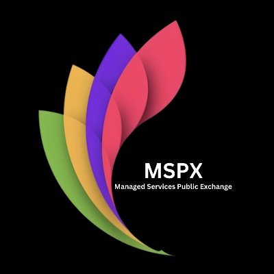 MSPX it services