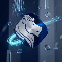 NetFusion Designs