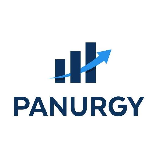 Panurgy IT Solutions it services