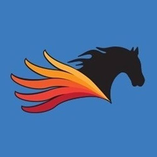 Pegasus Technologies MSP profile