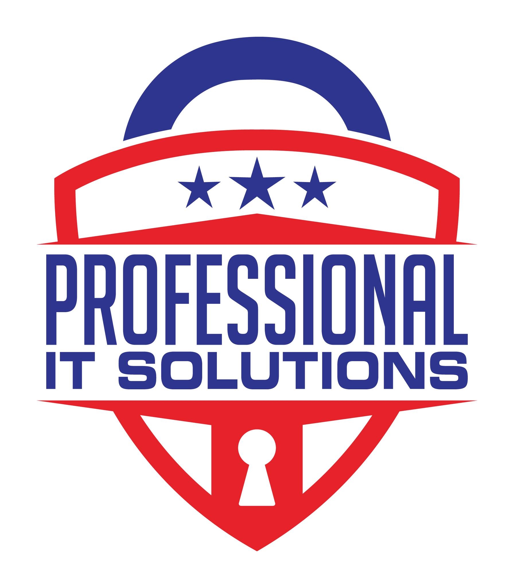 Professional IT Solutions it services