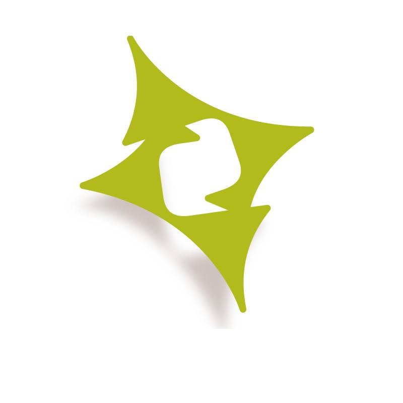 Reverus it services