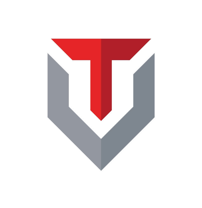 Techvera MSP profile