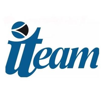The ITeam MSP profile