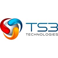 TS3 Technologies MSP profile