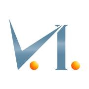 V.I. Experts it services