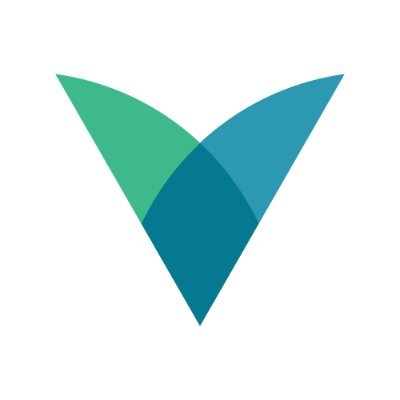 Virtuas MSP profile
