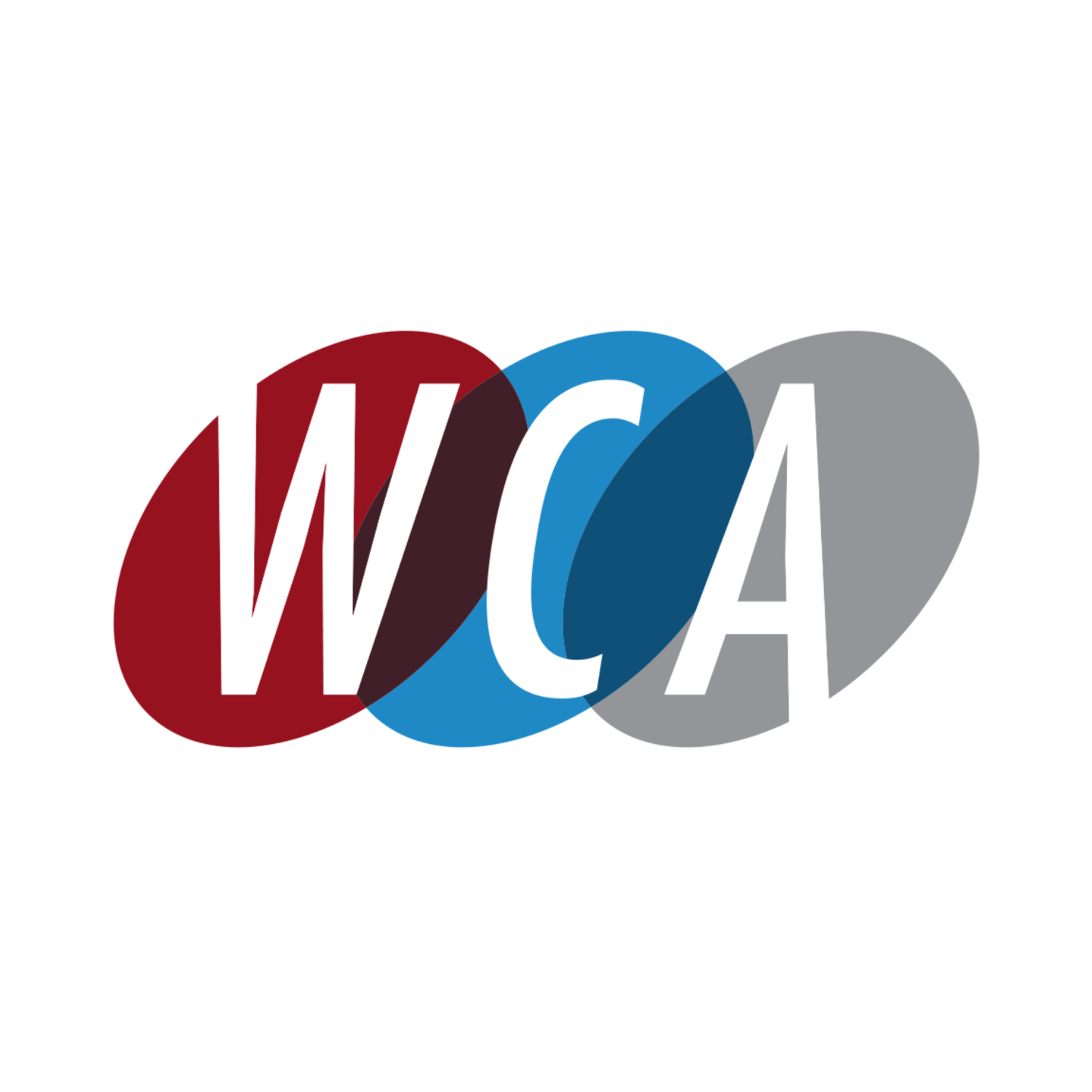WCA Technologies it services
