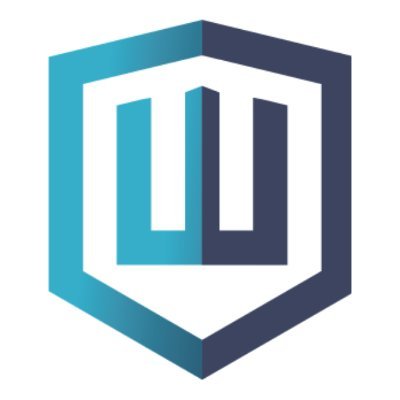 Welsh Consulting MSP profile