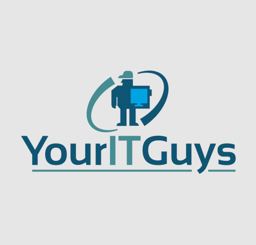 Your IT Guys it services